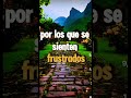 Amén Orando por tu vida 🙏💚#oracion #fe