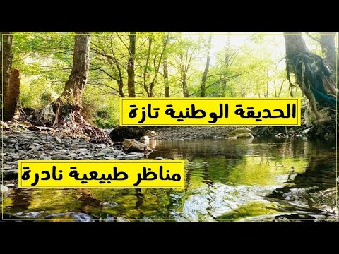 فيديو: الحديقة الوطنية - وصف كابريتس وفورت شيرلي والصور - دومينيكا