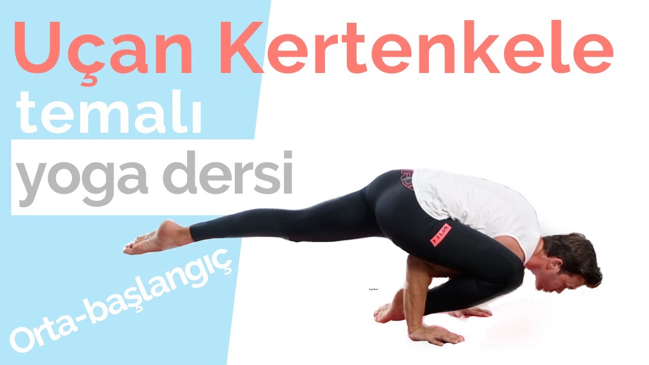 Uçan Kertenkele Temalı Yoga Dersi - Orta-başlangıç seviye