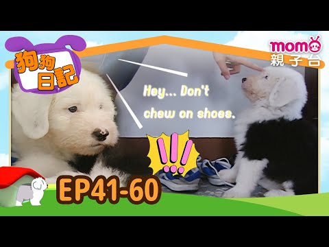 EP41-60 Where Are We Right Now?｜Journal of Dog｜Full Version｜momokids