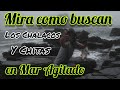 #PESCA de #Chalacos y #Chita en Peña con Mar Agitado