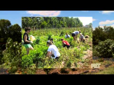 Community Gardens with Jim Embry | Kentucky Life |...