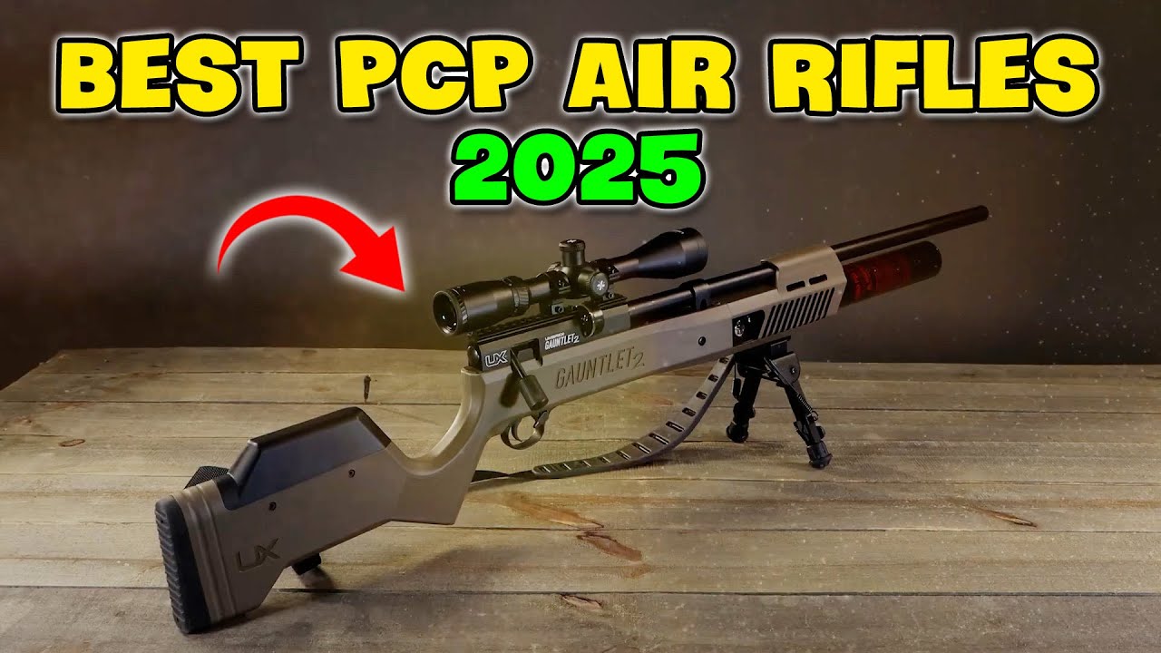 Best PCP Air Rifles of 2025 Honest Reviews from Beginner to Pro