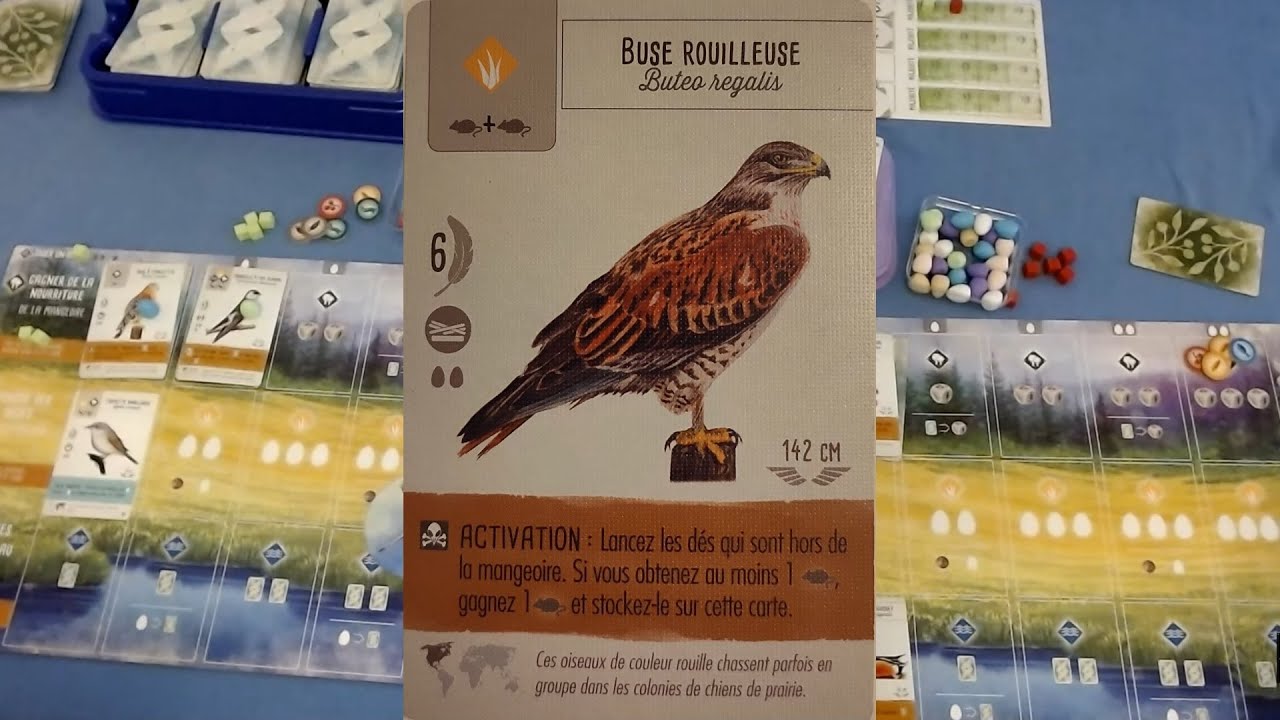 Wingspan Extension EUROPE- 2 joueurs - Part2 et fin - YouTube