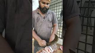 Cutting Master Kanna Fish Cutting Skillscuttingmaster 