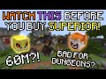 WATCH THIS VIDEO Before You Buy SUPERIOR DRAGON Armour! | Hypixel Skyblock