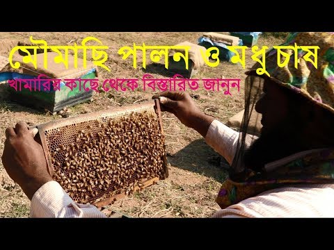 ভিডিও: কীভাবে এবং কীভাবে লুস বেসন আয় করেন