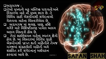 STANDARD 10 chapter 7 part 4 મનુષ્યનું મગજ