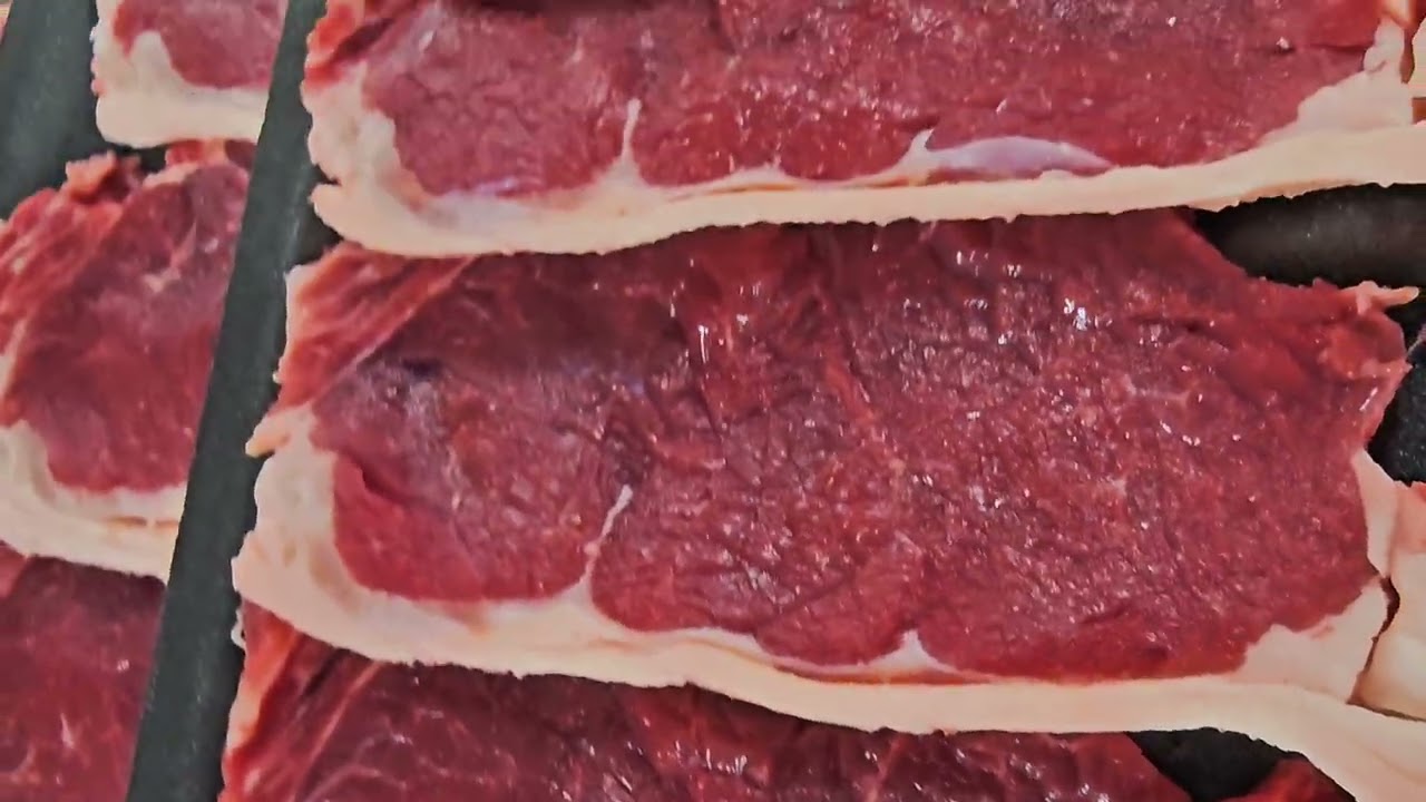 Dia cheio de oportunidades