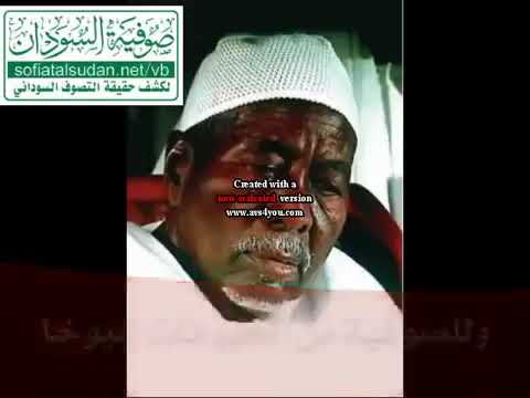 كلب الصوفية الولي 