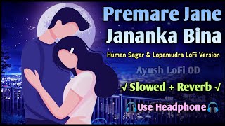 Premare Jane - Slowed Reverb - Human Sagar & Lopamudra - Odia Lofi Song