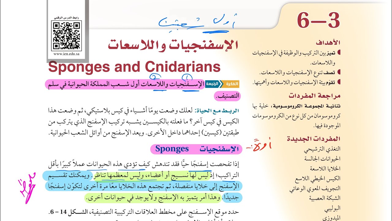 الاسفنجيات واللاسعات (أحياء أول ثانوي 1446 )