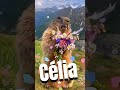 #marmotagritando #marmota #marmotalegal #viralizou #EuMarmotinha