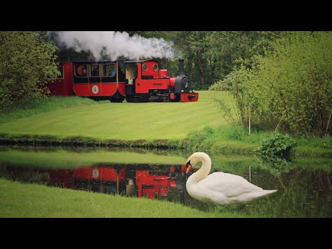 Steam Sunday @Oakfield Park - 28th April 2019