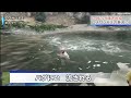【VCRGTA】こくにい、流される。