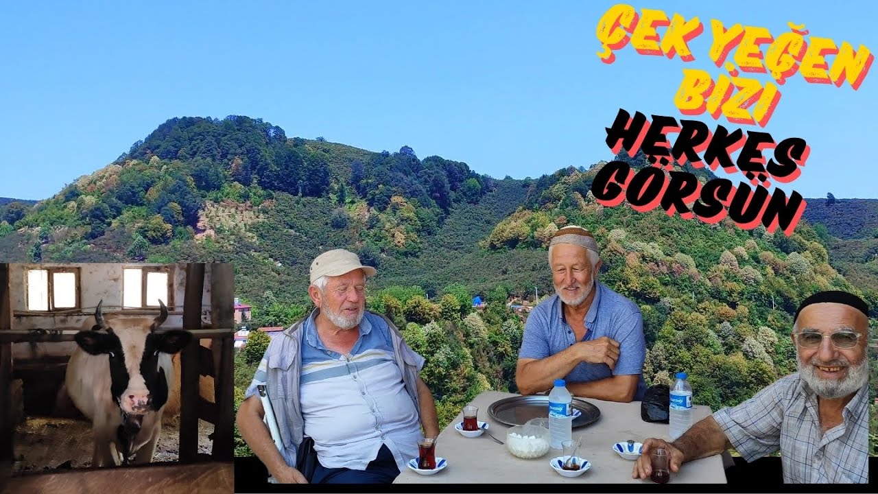 SAKARYA NIN KÖYLERİ VE DOĞAL GÜZELLİKLERİ/ KÖYLERDE Kİ AMACALARLA SOHBET 