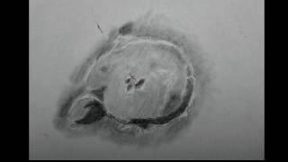 Lunar Sketching Gassendi Crater