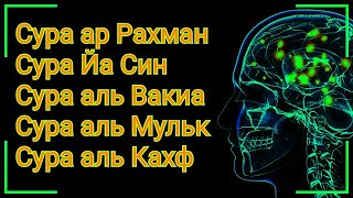 🎧🌹 Сура Рахман" Ясин" Вакиа" Мульк" СЛУШАЙ ОЧЕНЬ КРАСИВОЕ ЧТЕНИЕ КОРАНА - Салим Баханан