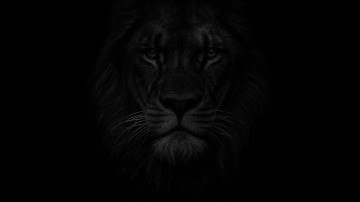 Dash n xplodes 100% (JUMP FROM DECODE)