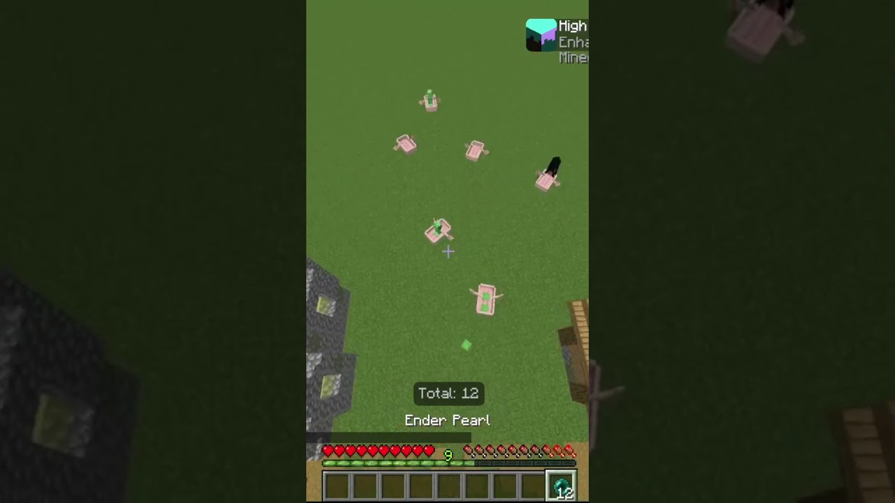 Minecraft Ender Pearl Clutch