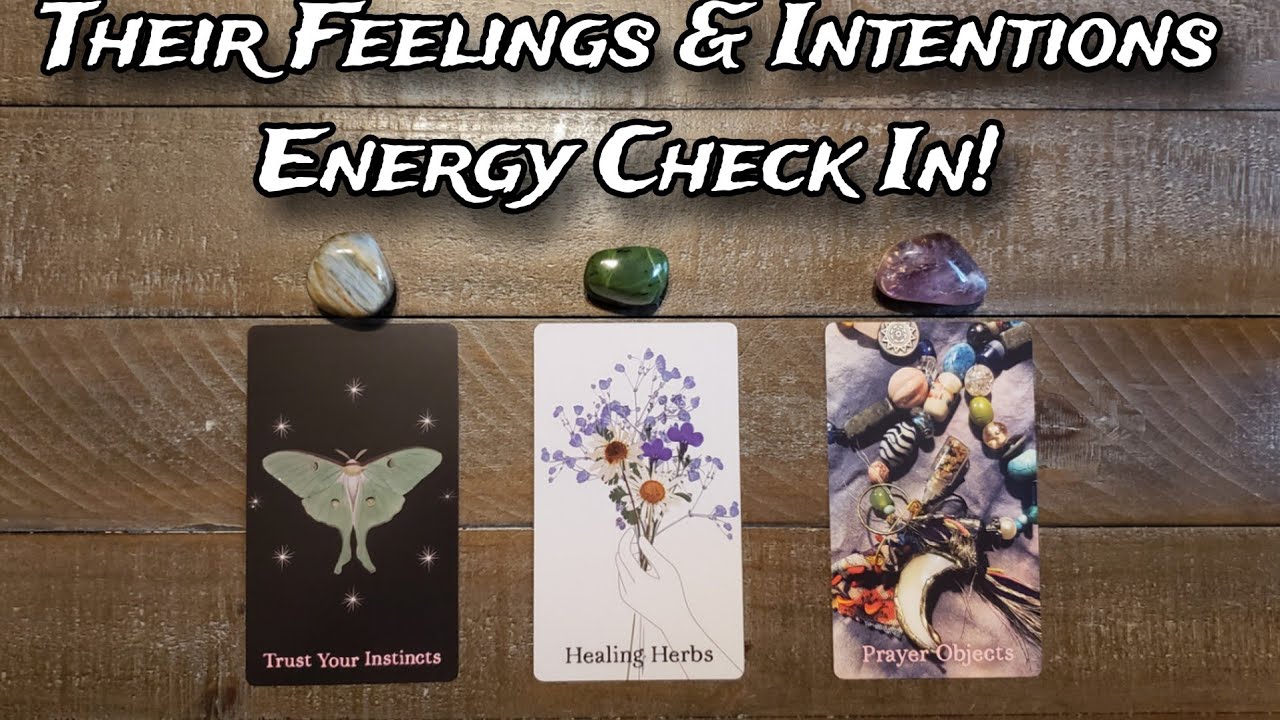 💕 Their Current Feelings & Intentions | Energy Check In! 💕 Pick A Card ...