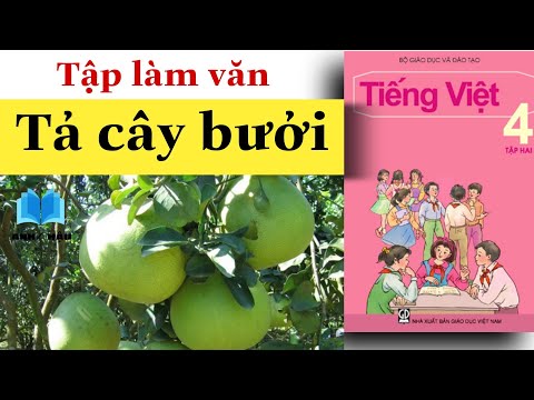 Video Tập làm văn Lớp 4 | Tả CÂY BƯỞI | Tả cây ăn quả - youtube