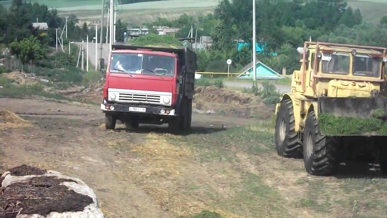 Камазы возят силос