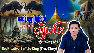 #ဘုရားလောင်း #ကျွဲမင်း #ဖခင်ကျွဲဘုရင်ကြီးကို #စိန်ခေါ်ထိုးသတ်ခဲ့တဲ့ #ကျွဲမင်းကုန်းစေတီ #ကော့မှူး