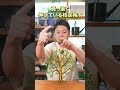【諦めるのは早い!】猛暑による植物への被害を復活!甦る意外な裏ワザ3選!