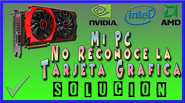 Mi PC No Reconoce la Tarjeta Gráfica [SOLUCIÓN]