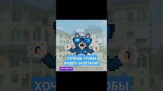 Вот что нужно делать, чтобы твои видео залетали #продвижение #телеграм #котдурова