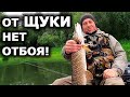 Щука пошла! Первый трофей сезона! Щучье эльдорадо! Рыбалка на щуку летом на спиннинг