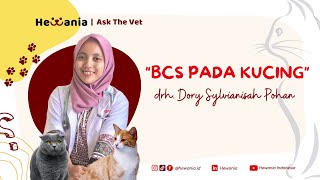 Mengenal Body Condition Score (BCS) Pada Kucing! #AskTheVet drh. Dory Sylvianisah Pohan dari Hewania screenshot 3