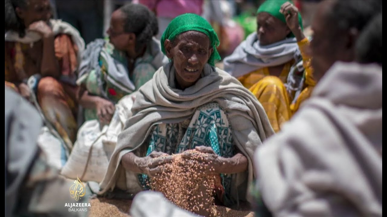 تضرر 400 ألف شخص من المجاعة بسبب النزاع في تيغراي
