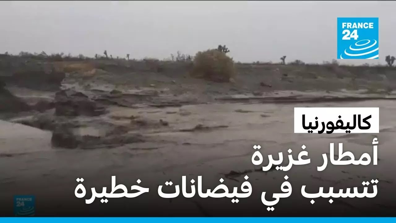 ����� ����� ����� �� ������� ����� �� ����������
 - نشر قبل 10 دقيقة