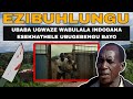 EZIBUHLUNGU UBABA UGWAZE WABULALA INDODANA NGOBA ISIHLUPHE KAKHULU IBAMBA INKUNZI EZIBUHLUNGU UBABA UGWAZE WABULALA INDODANA NGOBA ISIHLUPHE KAKHULU IBAMBA INKUNZI