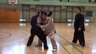 開門拳社公式DVD 新・呉氏開門八極拳学習教程2「単打・対打」大全【対