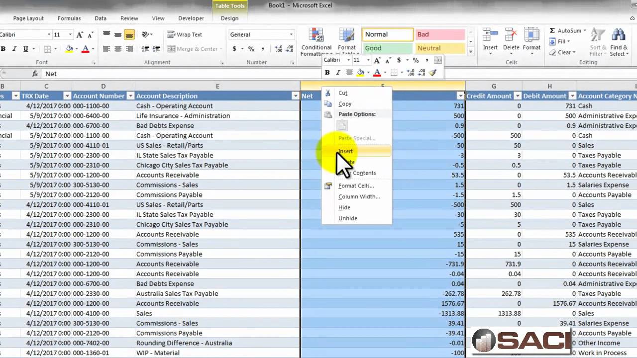 Great Plains Chart Of Accounts Table