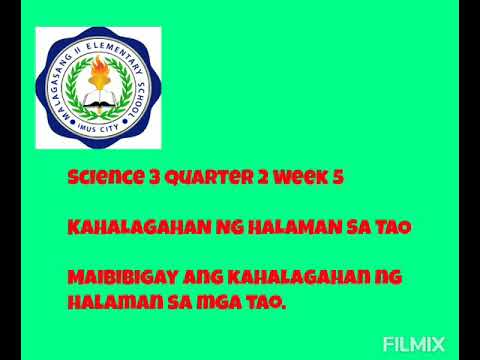 Video: Ang Viride, Isang Nursery Ng Mga Prutas At Pandekorasyon Na Halaman Sa Rehiyon Ng Gatchina