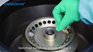 QuicKey Pro ELISA Competitive Method: Comprehensive Operation Guide for Cytokine Studies