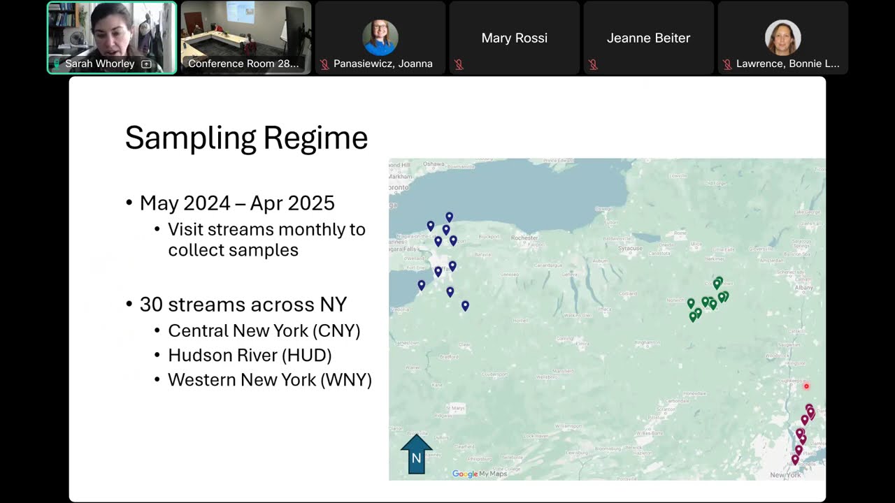 Hold the salt! Effects of winter road salt felt all year by stream periphyton
