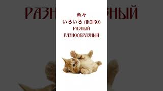 Японский язык #японскийязык #cat #япония