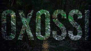 OXOSSI - Rosa Amarela
