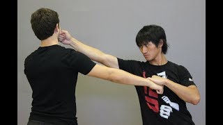 Bruce Lee Jeet Kune Do Trapping Flow Techniques