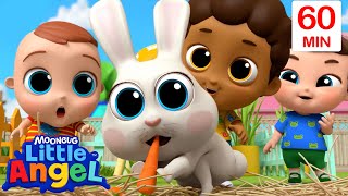 Class Pet Song 🐰| Little Angel 😇 | 🔤 Subtitled Sing Along Songs 🔤 | Cartoons for Kids