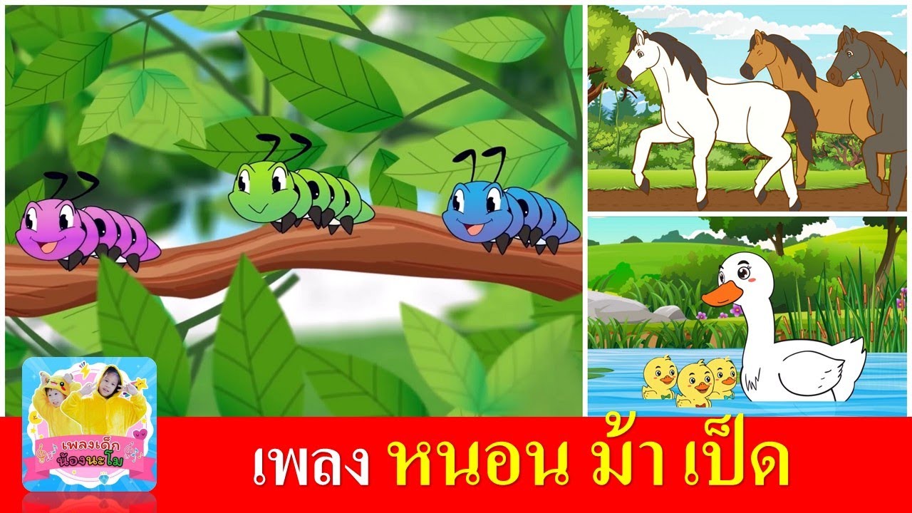 เพลงเด็กอนุบาล หนอน ม้า เป็ด | หนอนผีเสื้อ | ม้าวิ่งกับกับ | เป็ดอาบน้ำในคลอง | สื่อการเรียน การสอน