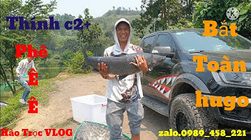 Câu Lục. Thính C2+. Bắt Toàn Huho..Hồ Câu Đá Giàn..