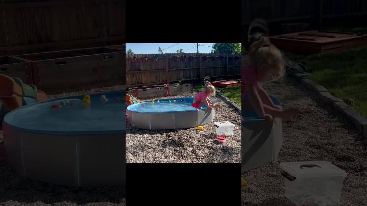 Folding Kiddie Pool for Dogs, Cats, and Kids: A Perfect Summer Fun for Your Furry Friends