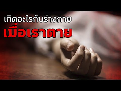 วีดีโอ: เกิดอะไรขึ้นในเขตตาย?