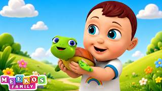 I Had A Little Turtle Song 🐢😻 Animal Songs For Kids | Meeko's Family